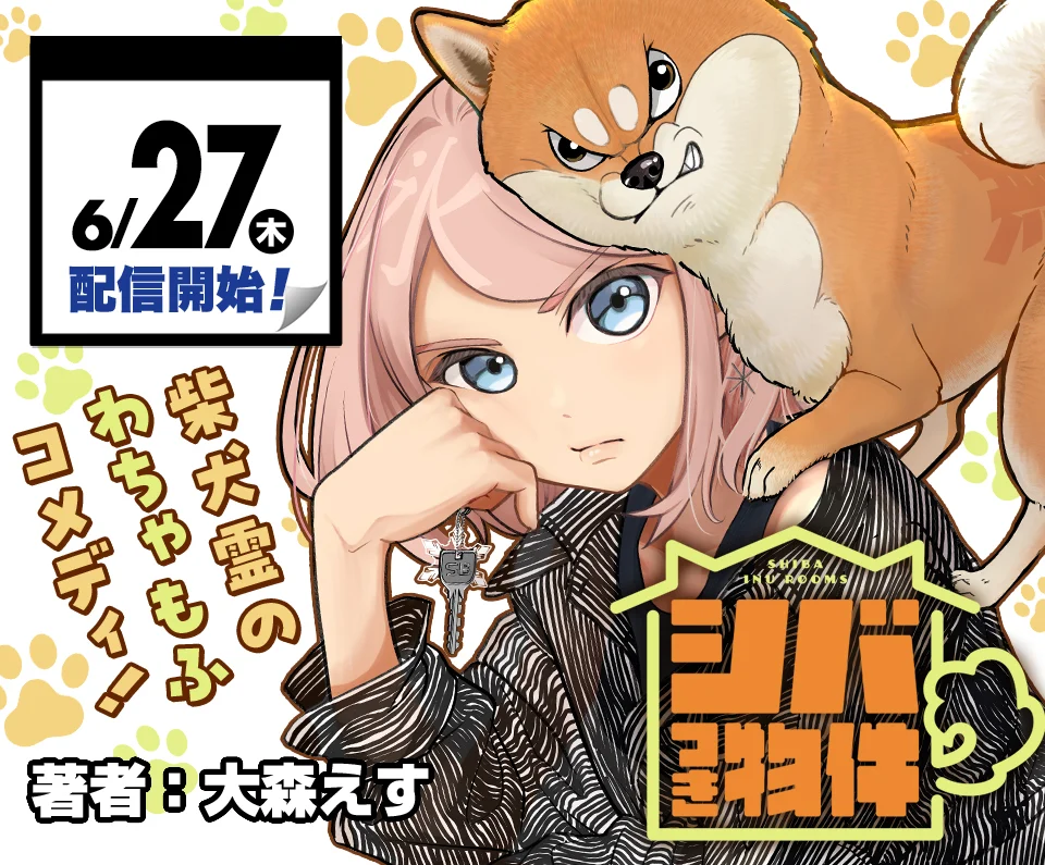 55495