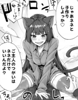 55597