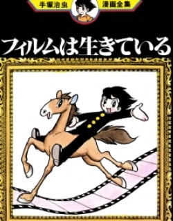 55831