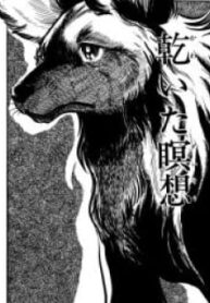 56894
