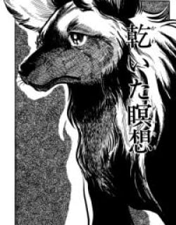 56894