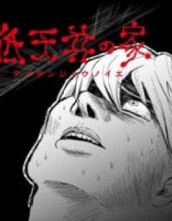60816