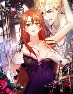 62062