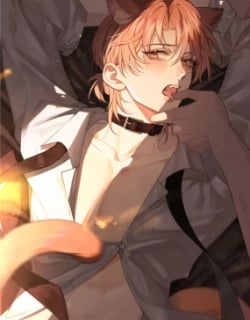 62802