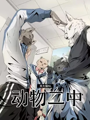 72428